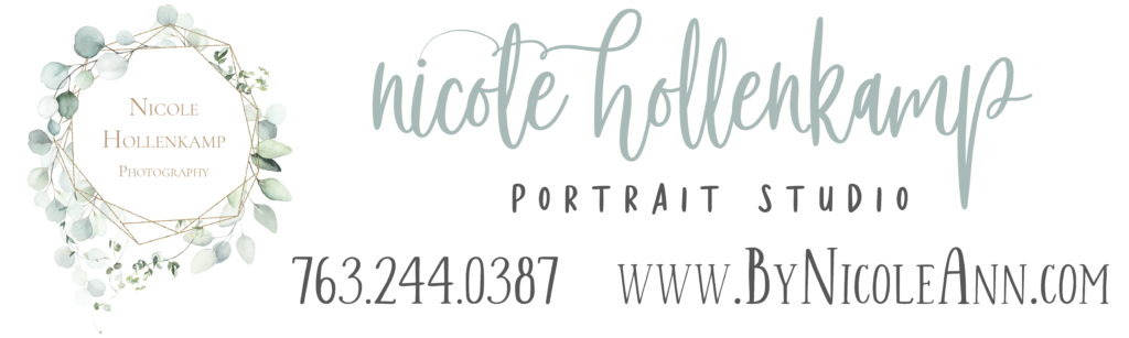 Nicole Hollenkamp Portrait Studio