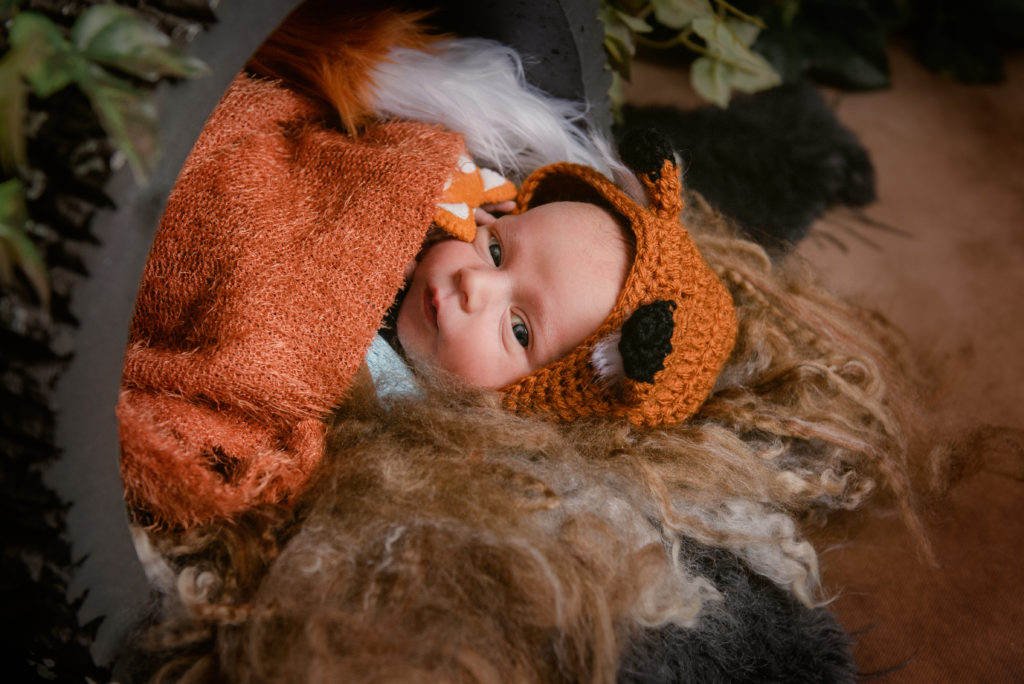 Beau - Newborn Boy - Princeton MN photographer Nicole Hollenkamp